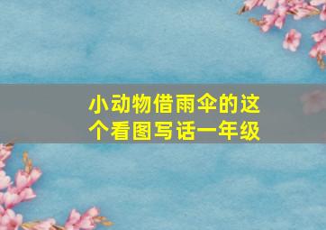 小动物借雨伞的这个看图写话一年级