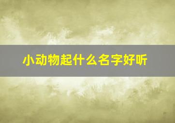 小动物起什么名字好听