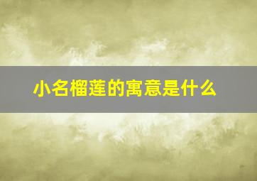 小名榴莲的寓意是什么