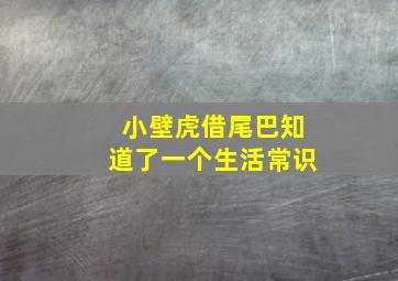 小壁虎借尾巴知道了一个生活常识