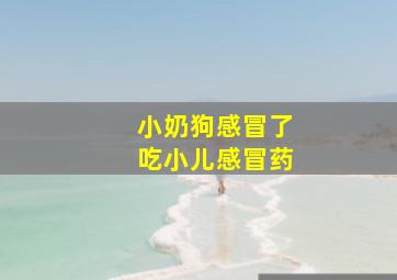 小奶狗感冒了吃小儿感冒药