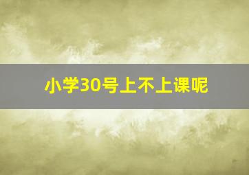 小学30号上不上课呢