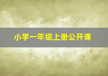 小学一年级上册公开课