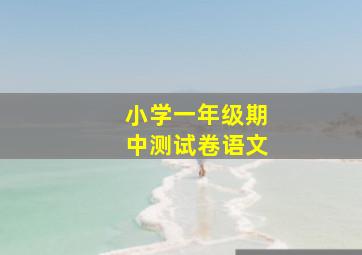 小学一年级期中测试卷语文