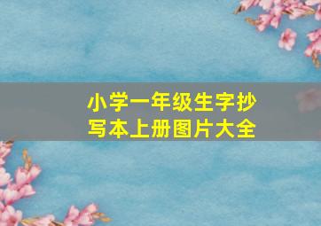 小学一年级生字抄写本上册图片大全