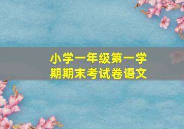 小学一年级第一学期期末考试卷语文