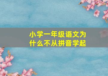 小学一年级语文为什么不从拼音学起