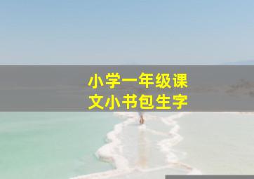 小学一年级课文小书包生字