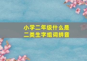 小学二年级什么是二类生字组词拼音