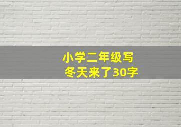 小学二年级写冬天来了30字