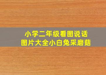 小学二年级看图说话图片大全小白兔采磨菇