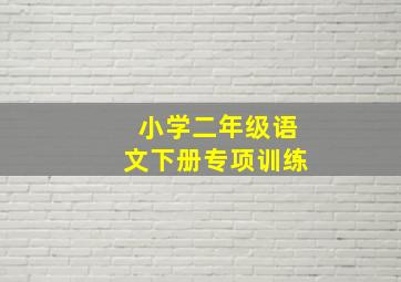 小学二年级语文下册专项训练