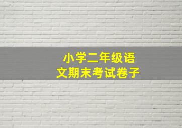 小学二年级语文期末考试卷子