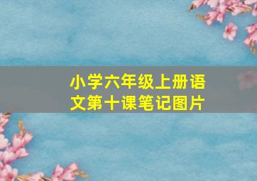 小学六年级上册语文第十课笔记图片