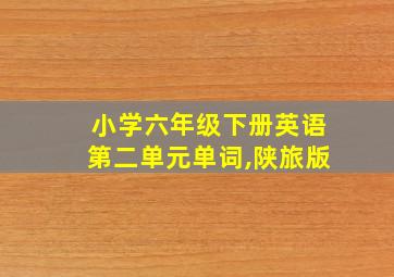 小学六年级下册英语第二单元单词,陕旅版