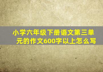 小学六年级下册语文第三单元的作文600字以上怎么写