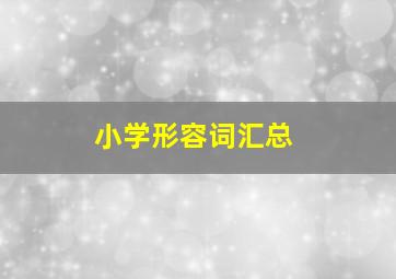 小学形容词汇总