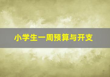 小学生一周预算与开支