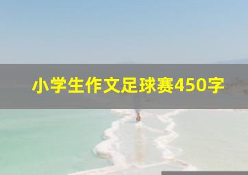 小学生作文足球赛450字