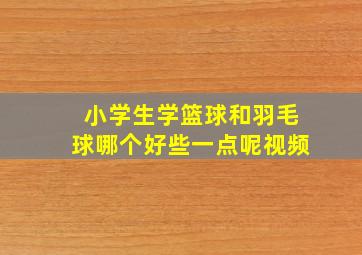 小学生学篮球和羽毛球哪个好些一点呢视频