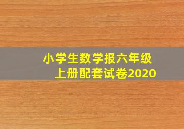 小学生数学报六年级上册配套试卷2020