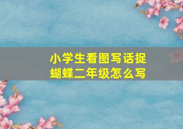 小学生看图写话捉蝴蝶二年级怎么写