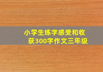 小学生练字感受和收获300字作文三年级