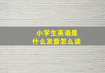 小学生英语是什么发音怎么读