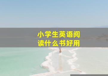 小学生英语阅读什么书好用