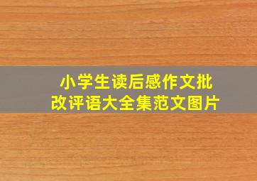 小学生读后感作文批改评语大全集范文图片