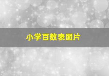 小学百数表图片