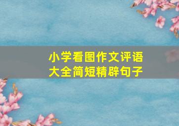 小学看图作文评语大全简短精辟句子