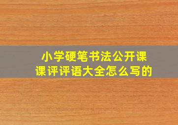 小学硬笔书法公开课课评评语大全怎么写的