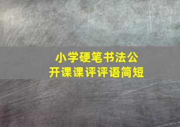 小学硬笔书法公开课课评评语简短