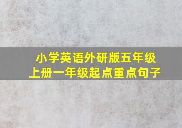 小学英语外研版五年级上册一年级起点重点句子