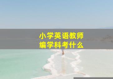 小学英语教师编学科考什么