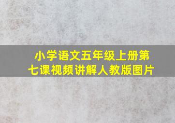 小学语文五年级上册第七课视频讲解人教版图片