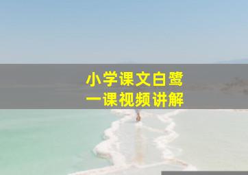 小学课文白鹭一课视频讲解