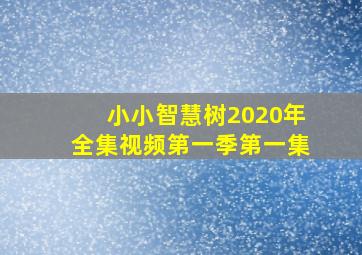 小小智慧树2020年全集视频第一季第一集