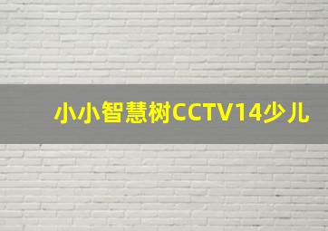 小小智慧树CCTV14少儿