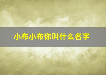 小布小布你叫什么名字