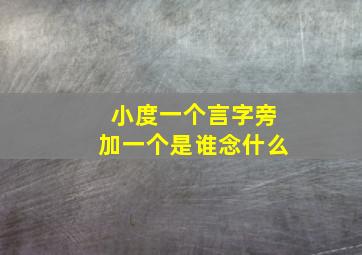 小度一个言字旁加一个是谁念什么