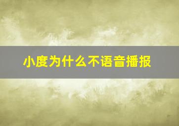 小度为什么不语音播报