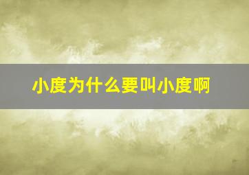 小度为什么要叫小度啊