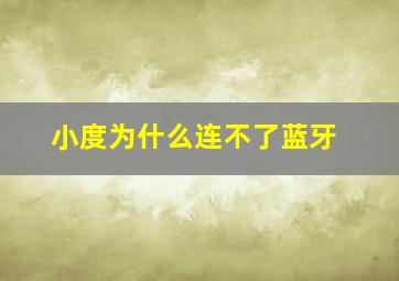 小度为什么连不了蓝牙