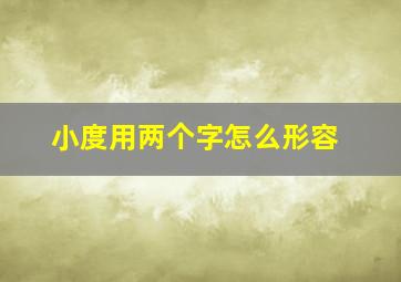 小度用两个字怎么形容