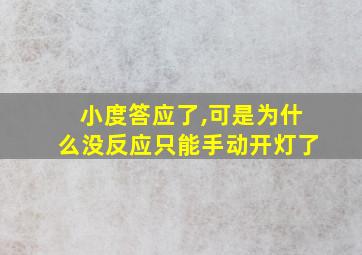 小度答应了,可是为什么没反应只能手动开灯了