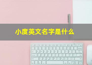 小度英文名字是什么