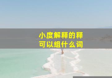 小度解释的释可以组什么词