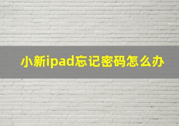 小新ipad忘记密码怎么办